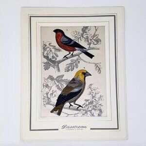 Bianchini Ferier Passereau Lyon Silk Art Bouvreuil & Gros Bec Birds Passereaux